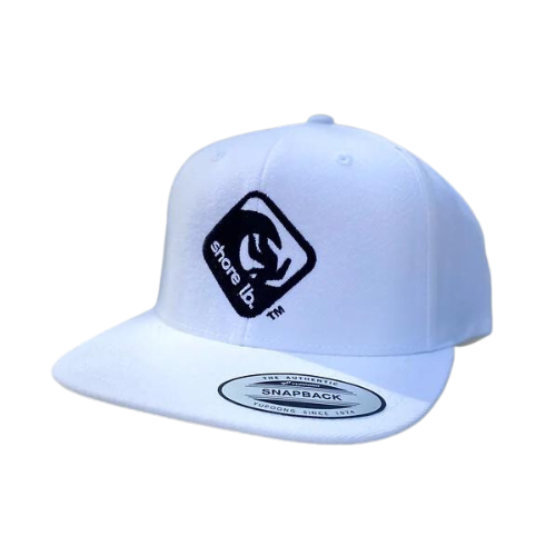 Wake Skate Cap